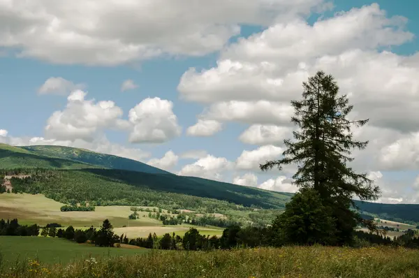 Paysage estival par une journée nuageuse dans les montagnes Jeseniky — Photo