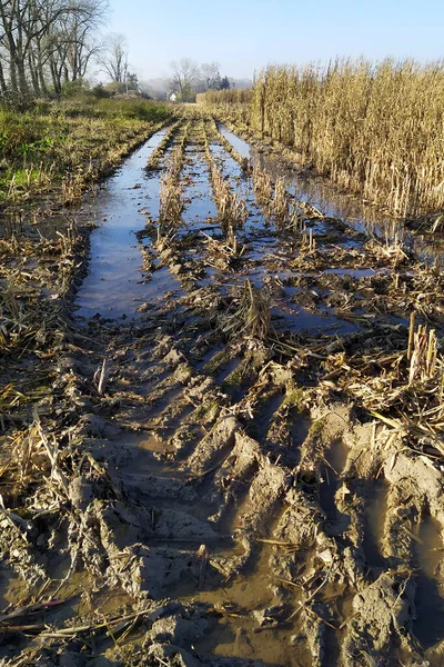 Suciedad Surcos Después Cosecha Maíz Campo Inundado Después Fuertes Lluvias — Foto de Stock