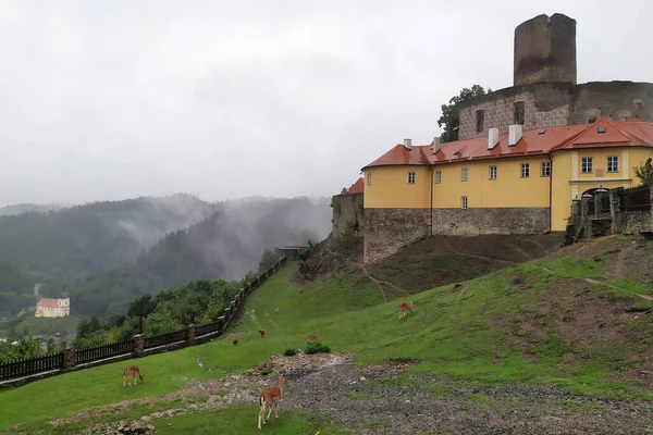 Castillo Gótico Svojanov Bohemia Día Lluvioso Fue Fundada Alrededor 1224 Imágenes de stock libres de derechos