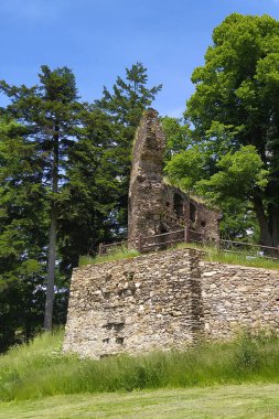Çek Cumhuriyeti 'nin Vysocina bölgesindeki ortaçağ Dalecin kalesinin kalıntıları