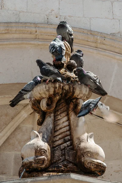 Fontein op het plein in dubrovnik — Stockfoto