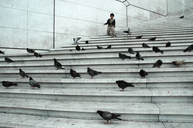 merdivenlerde güvercinler ile yarış çocuk