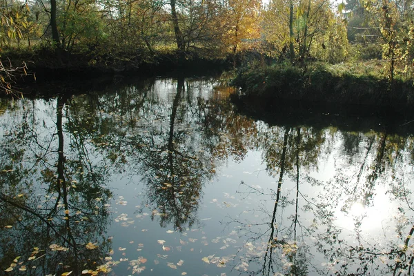 Hösten på floden Morava — Stockfoto