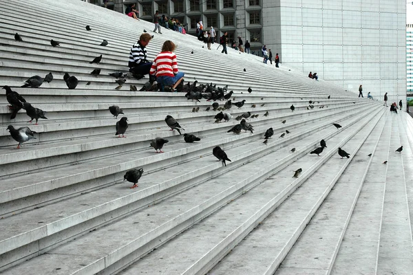 Дві жінки, годування голубів на сходах Ліцензійні Стокові Фото
