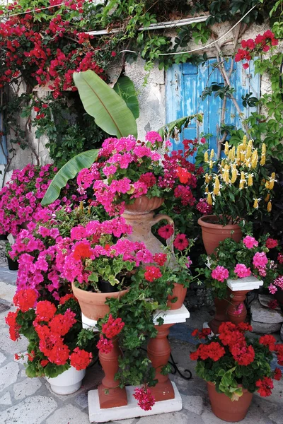 Nook with flowers — Stock Photo, Image