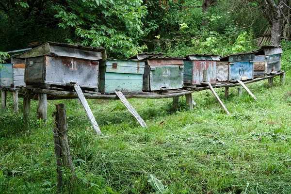 Fattiga gamla bikupor — Stockfoto