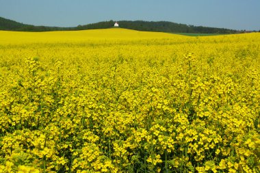 Arka planda bir şapel ile tecavüz alan