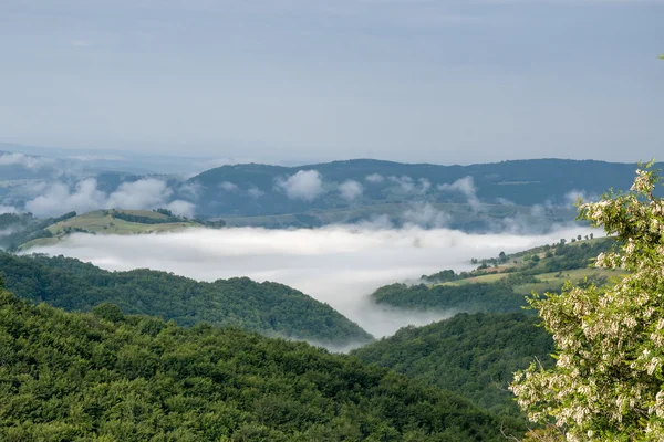 Nebbia mattutina nella valle — Foto Stock