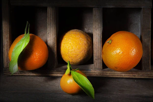 Zitrusfrüchte Mit Scharfem Licht Holzboxen Beleuchtet Citrus Tachibana Zwei Mandarinen — Stockfoto