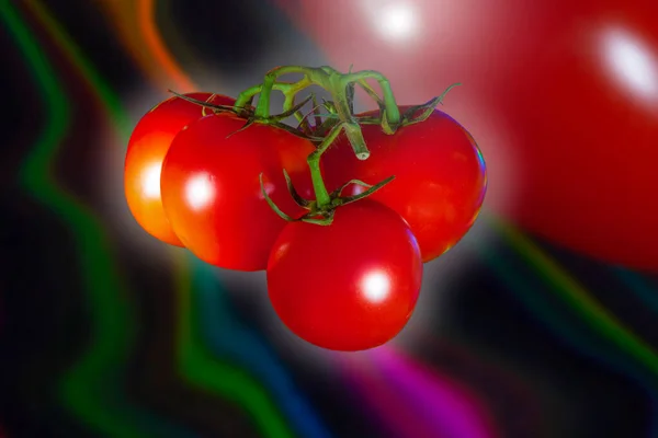 Lot Tomates Fraîches Sur Fond Couleurs Fluides Lumière Brillante Une — Photo