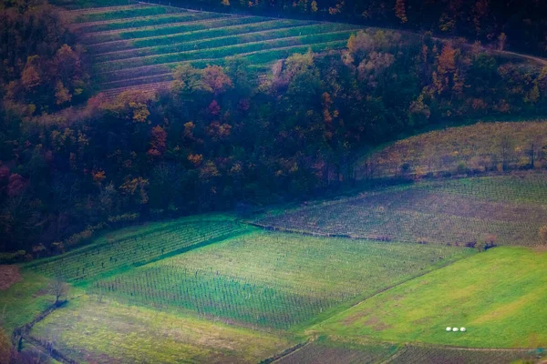 Tre Plastpåsar För Som Fläckar Vivid Green Meadow Vackra Landskap — Stockfoto