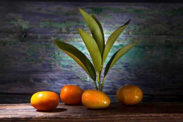 Nahaufnahme Photo Four Kumquats Sharp Light Shelf Auf Hölzernem Hintergrund — Stockfoto