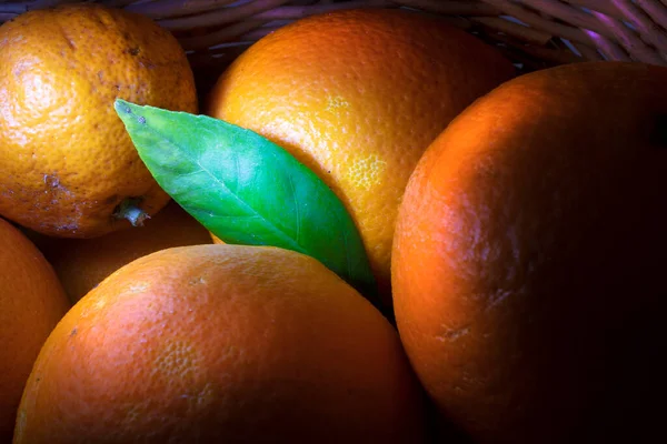 Makrofoto Frisch Gepflückter Orangen Lichtpinseltechnik Foto Vom Baum Direkt Den — Stockfoto