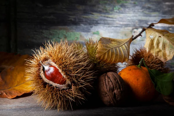 Bodegón Otoño Mandarina Nuez Castaña Bodegón Otoño Mandarina Píldoras Castaño —  Fotos de Stock