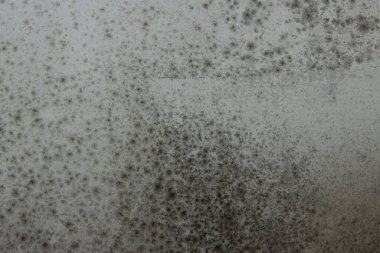 Duvar Kağıdı ya da Arkaplan olarak tasarlanan Duvar Ekstra Aydınlatılmış Küf. Tüm Grafikler İçin Uyar. Oyunlar ve Filmler