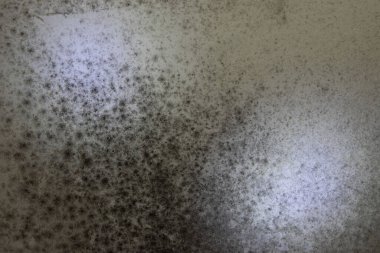 Duvar Kağıdı ya da Arkaplan olarak tasarlanan Duvar Ekstra Aydınlatılmış Küf. Tüm Grafikler İçin Uyar. Oyunlar ve Filmler