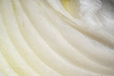 Macro Photo of Part of Onion. Detail of Raws of Slices Pattern.