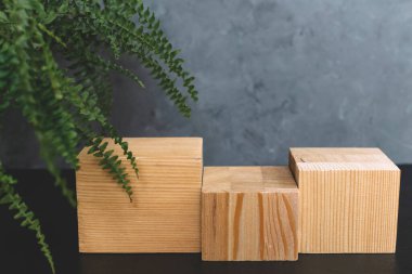 Siyah ve gri arka plan kozmetik ürünleri için doğal yosun, ahşap, ağaç kabuğu ve eğreltiotu modeli.