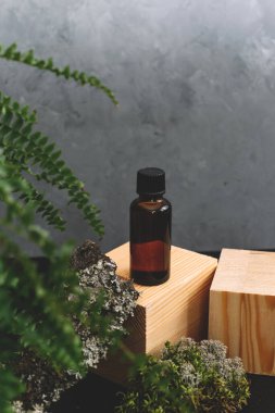 Kahverengi cam şişelerde kaplıca malzemeleri yosun, ahşap, ağaç kabuğu ve eğrelti otunun doğal arka planında. Uzayı metin için kopyala. Güzellik blogcusu, salon terapisi, markalaşma modeli, minimalizm konsepti..