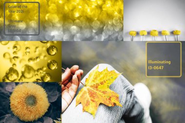 Yellow and gray collage of trendy colors 2021. clipart