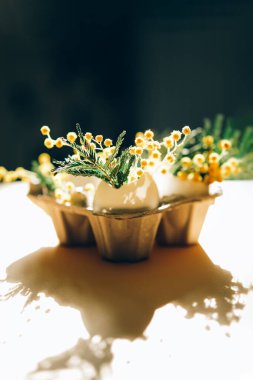 Paskalya süsü, yumurtalarda sarı Mimosa çiçekleri..