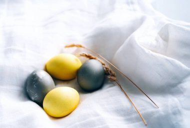 Organik doğal olarak sarıya ve griye boyanmış Paskalya yumurtaları.