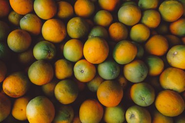 Taze organik yeşil ve sarı portakallar..