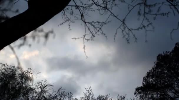 Rollende grijze wolken aan de hemel — Stockvideo