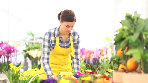 Frühjahrskonzept, Floristin kümmert sich um Blumenpflanzen — Stockvideo