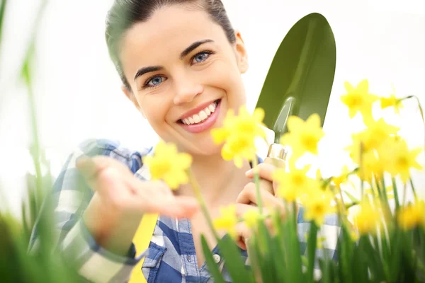 Springtime, smiling woman in garden takes care of flowers — Stock Photo, Image