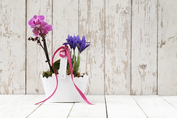 Flores de primavera, iris y orquídeas en canasta sobre blanco de madera —  Fotos de Stock
