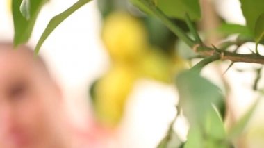 kadın bir limon alır ve sepeti hasır koydu