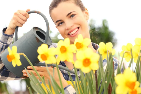 Lente, lachende vrouw in tuin drenken bloemen narcissus — Stockfoto