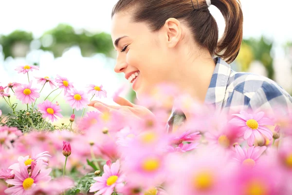 Springtime, smiling woman in the garden of daisies flowers — Stock Photo, Image