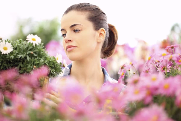 Lente, vrouw in de tuin van madeliefjes bloemen — Stockfoto