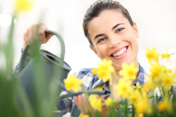 Tavasszal, mosolygós nő locsolókanna, kert locsolás nárcisz virág — Stock Fotó