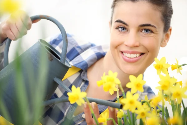 springtime, smiling woman in garden with watering can, watering flowers narcissus
