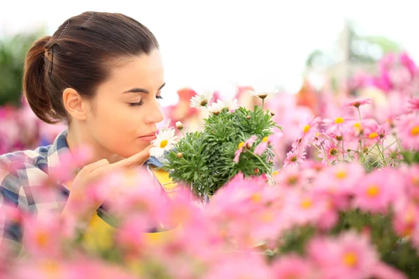 Весна жінка пахне ромашками в квітковому саду — стокове фото