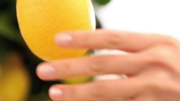 Leende kvinna plockar en citron och lägga den i korgen wicker — Stockvideo