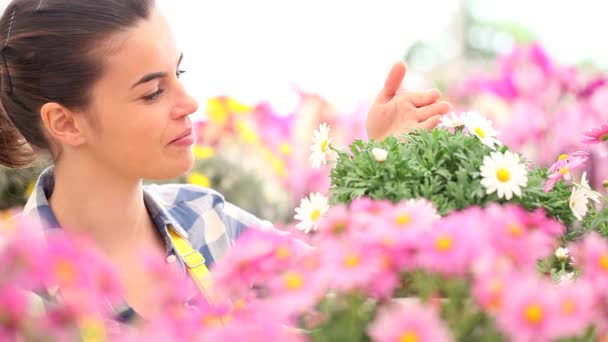 Primavera, mulher no jardim regando flores margaridas — Vídeo de Stock