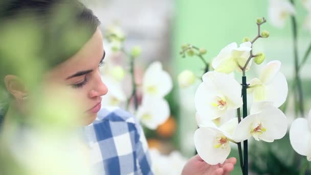 Smiling woman in garden of flowers, touches and smells an orchid — Stock Video