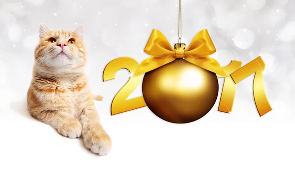 Zencefil kedi ve altın Noel top altın saten şerit yay ile — Stok fotoğraf
