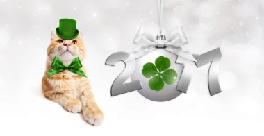Yeşil yonca ile gümüş Noel top ile zencefil kedi, 
