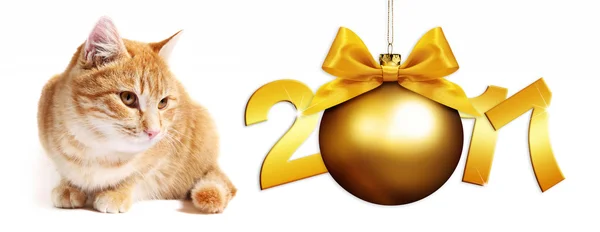 2017 metin zencefil kedi altın Noel top beyaz şerit yay ile — Stok fotoğraf