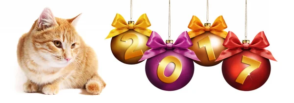 2017 texto jengibre gato con bolas de Navidad con lazo de cinta — Foto de Stock