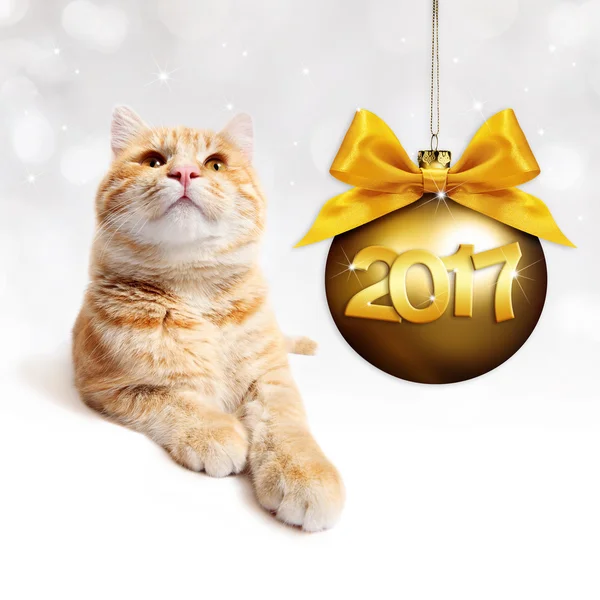 Imbir cat i złotą piłkę Bożego Narodzenia z złota wstążka satynowa kokarda — Zdjęcie stockowe