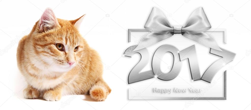 Résultat de recherche d'images pour "images bonne ANNEE 2018 CHATS"