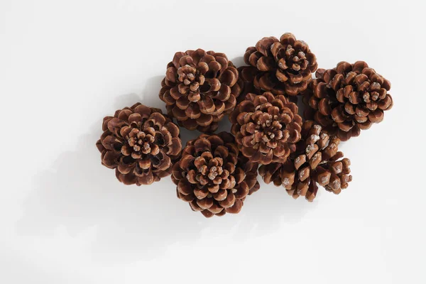 Top View Group Large Pine Cones Isolated White Background — Stock Photo, Image