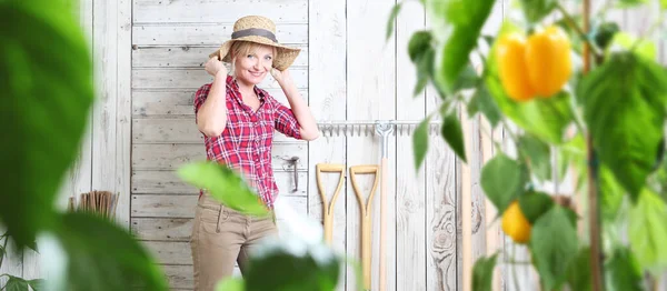 Smiling Woman Vegetable Garden White Wooden Shed Background Gardening Tools — Stock Photo, Image