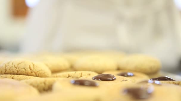 Pastelaria chef preparar biscoitos de chocolate — Vídeo de Stock